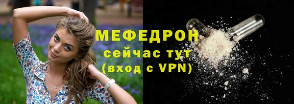 мдпв Лагань