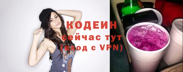 мдпв Лагань