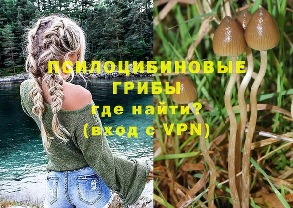 мдпв Лагань