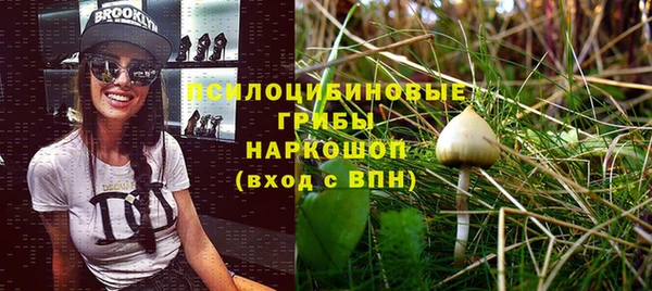Альфа ПВП Лабытнанги