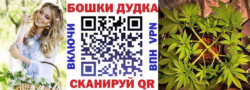 Конопля Ganja  закладки  Лосино-Петровский 
